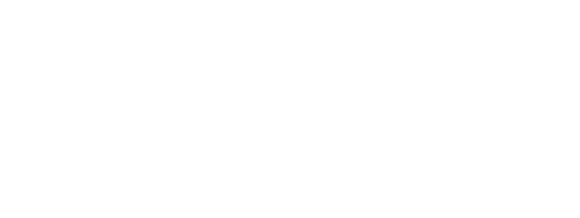 Insanity Wolf