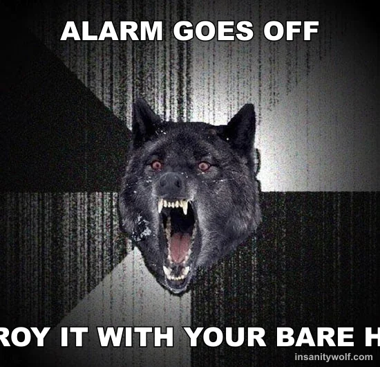 Insanity Wolf: ALARM GOES OFF - DESTROY IT WITH YOUR BARE HANDS