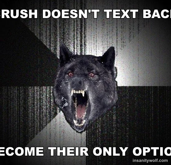 Insanity Wolf: CRUSH DOESN'T TEXT BACK - BECOME THEIR ONLY OPTION