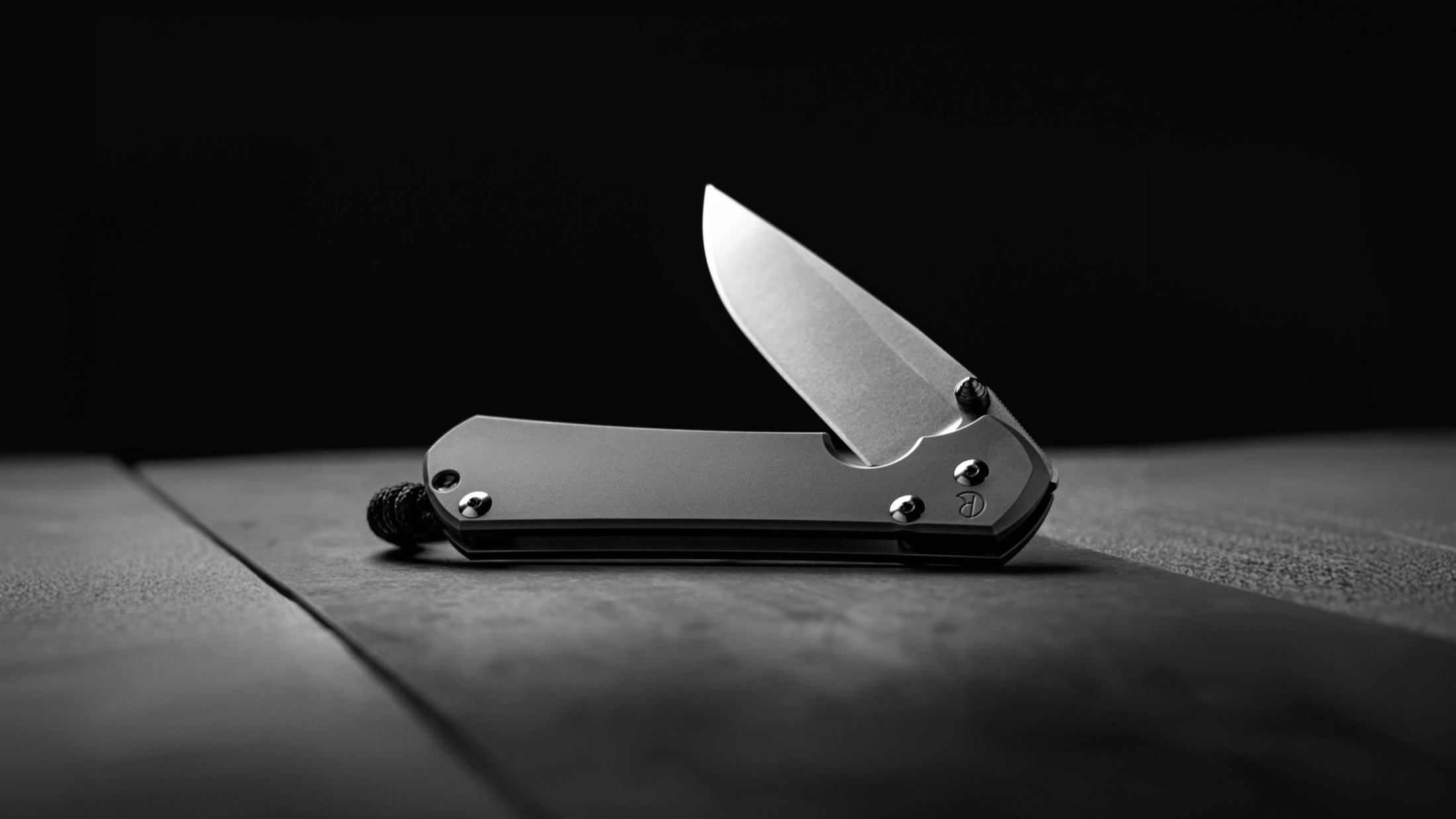 A Chris Reeve Sebenza 31 in hand — illustrative; the shop discussed here works only on Busse Knife Group blades.