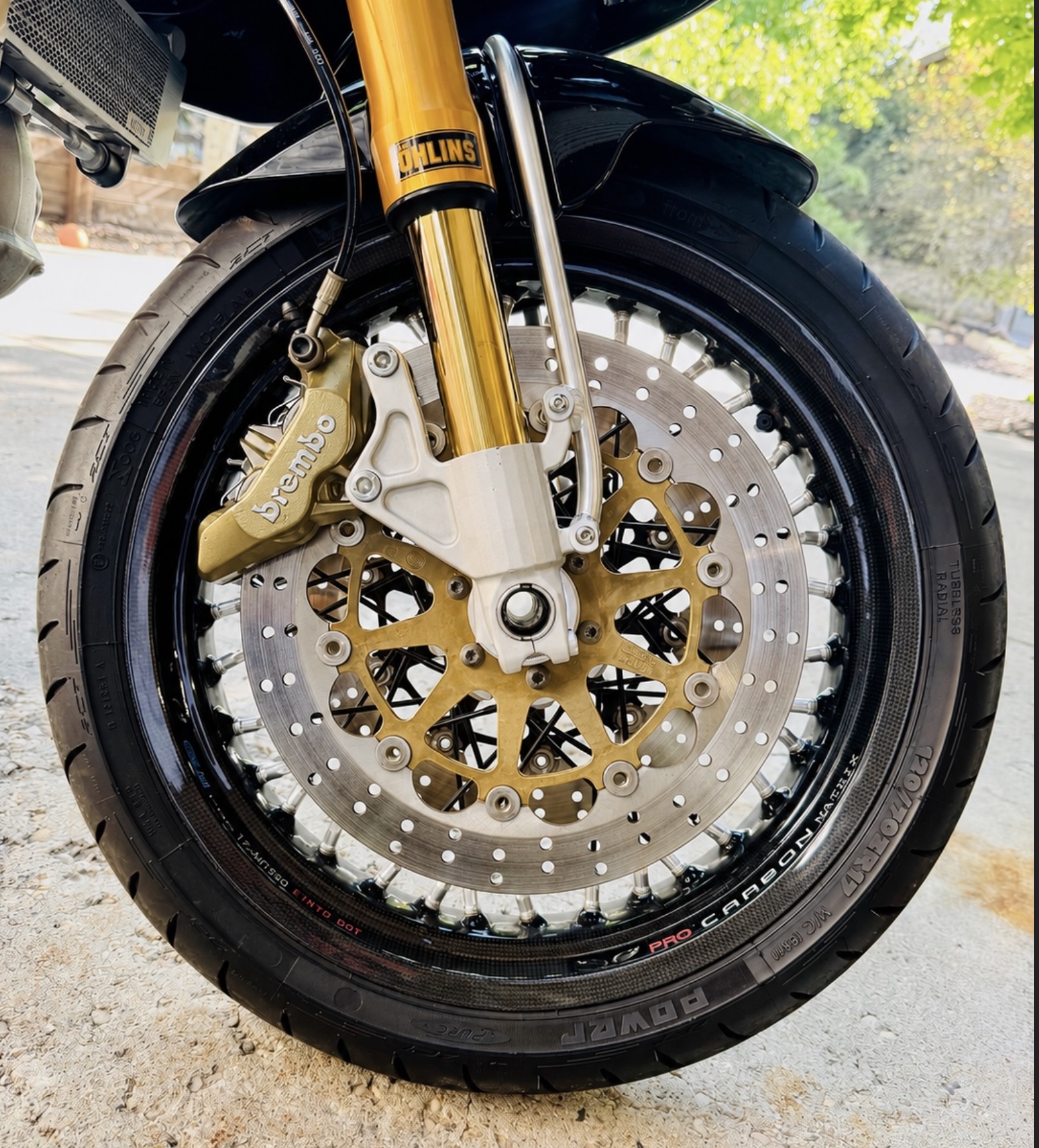 Alpina Carbon Pro Matrix wire-spoke wheel installed with gold Brembo caliper and floating disc